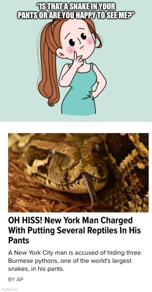 Is That A Snake In Your Pants? | “IS THAT A SNAKE IN YOUR PANTS OR ARE YOU HAPPY TO SEE ME?” | image tagged in question girl,snake,dirty mind,weird article,reptile | made w/ Imgflip meme maker