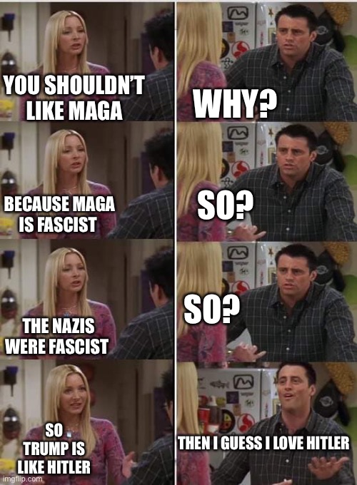 Friends | YOU SHOULDN’T LIKE MAGA WHY? BECAUSE MAGA IS FASCIST SO? THE NAZIS WERE FASCIST SO? SO TRUMP IS LIKE HITLER THEN I GUESS I LOVE HITLER | image tagged in friends | made w/ Imgflip meme maker