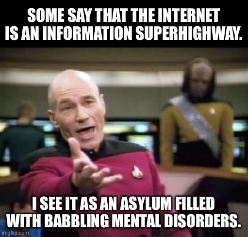 Internet | SOME SAY THAT THE INTERNET IS AN INFORMATION SUPERHIGHWAY. I SEE IT AS AN ASYLUM FILLED WITH BABBLING MENTAL DISORDERS. | image tagged in jean luc picard | made w/ Imgflip meme maker