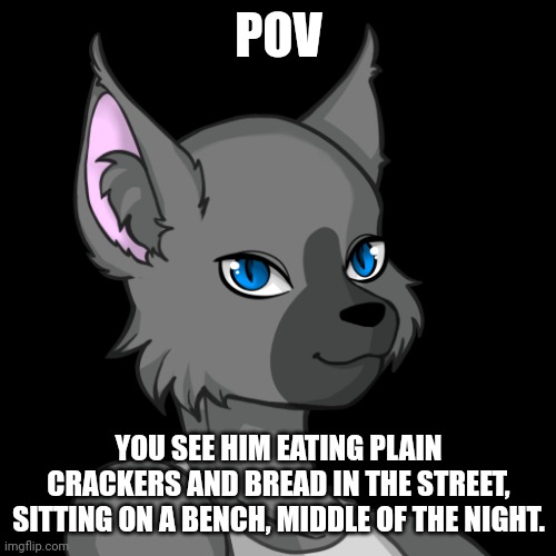 POV; YOU SEE HIM EATING PLAIN CRACKERS AND BREAD IN THE STREET, SITTING ON A BENCH, MIDDLE OF THE NIGHT. | image tagged in travis the bluesteel folf spartan | made w/ Imgflip meme maker