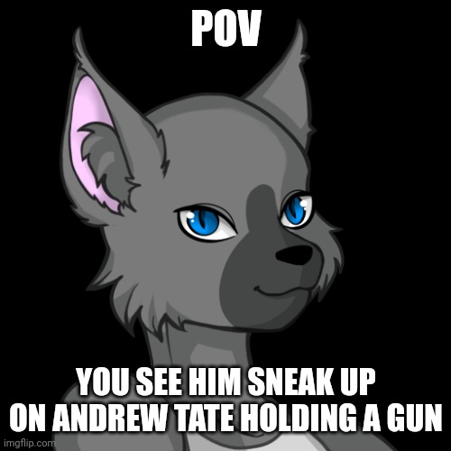 POV; YOU SEE HIM SNEAK UP ON ANDREW TATE HOLDING A GUN | image tagged in travis the bluesteel folf spartan | made w/ Imgflip meme maker