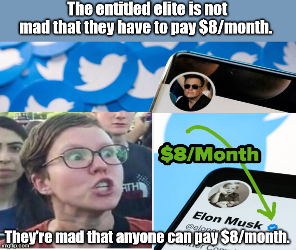 $8 Monthly....Now ANYONE can BE "elite" | The entitled elite is not mad that they have to pay $8/month. They’re mad that anyone can pay $8/month. | image tagged in twitter,musk,whining,democrats | made w/ Imgflip meme maker