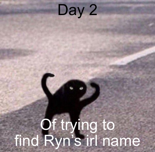 Cursed cat temp | Day 2; Of trying to find Ryn’s irl name | image tagged in cursed cat temp | made w/ Imgflip meme maker