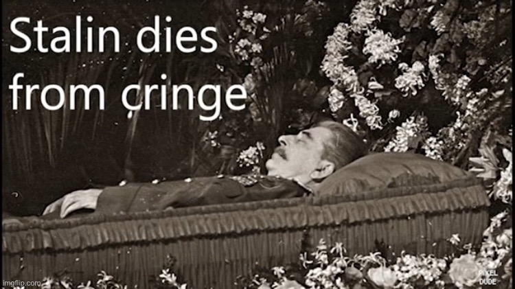 Stalin dies from cringe | image tagged in stalin dies from cringe | made w/ Imgflip meme maker