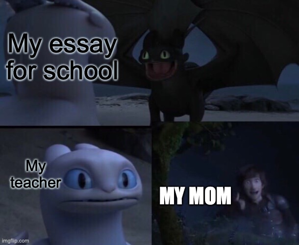 My essay for school; My teacher; MY MOM | image tagged in how to train your dragon 3 | made w/ Imgflip meme maker