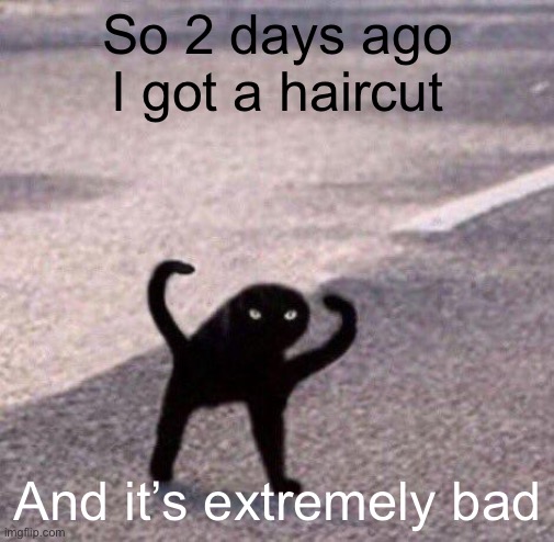 Cursed cat temp | So 2 days ago I got a haircut; And it’s extremely bad | image tagged in cursed cat temp | made w/ Imgflip meme maker