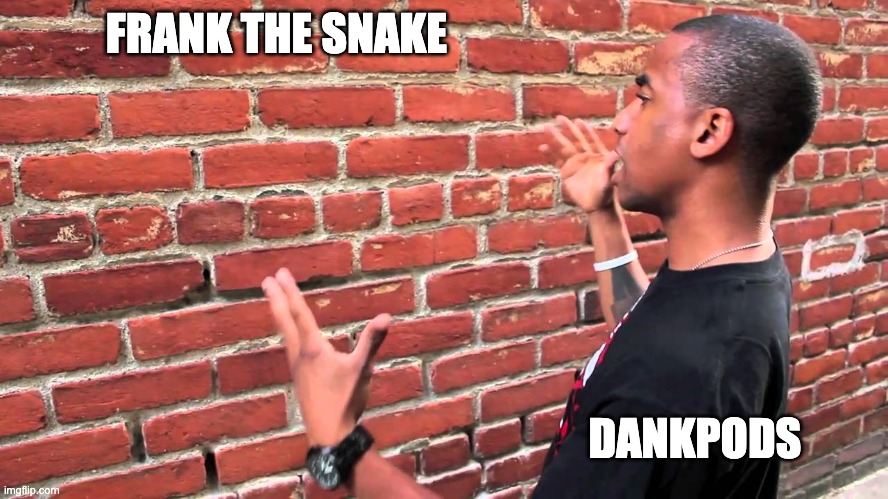 FRRRAAANNNNKKKKKKK!!! | FRANK THE SNAKE; DANKPODS | image tagged in talking to wall | made w/ Imgflip meme maker