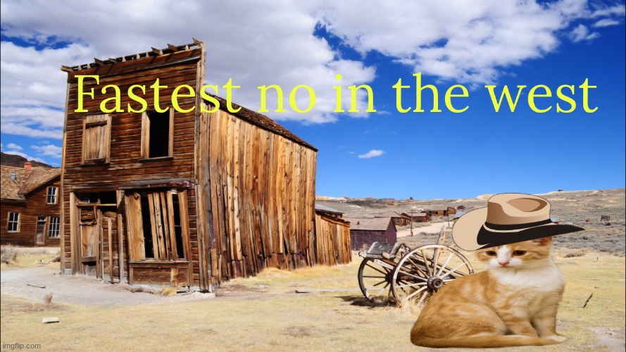 Fastest no in the west | image tagged in fastest no in the west | made w/ Imgflip meme maker