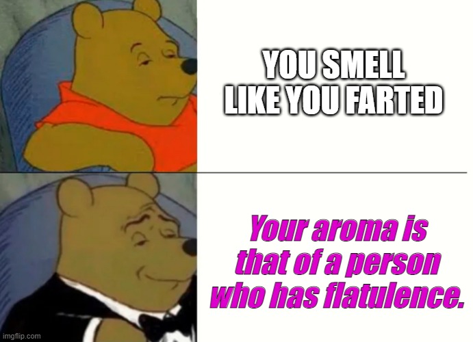 Fancy insult #1 |  YOU SMELL LIKE YOU FARTED; Your aroma is that of a person who has flatulence. | image tagged in fancy winnie the pooh meme | made w/ Imgflip meme maker