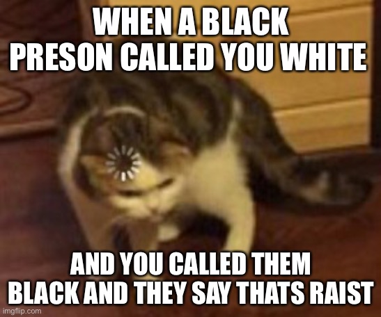 Loading cat | WHEN A BLACK PRESON CALLED YOU WHITE; AND YOU CALLED THEM BLACK AND THEY SAY THATS RAIST | image tagged in loading cat | made w/ Imgflip meme maker