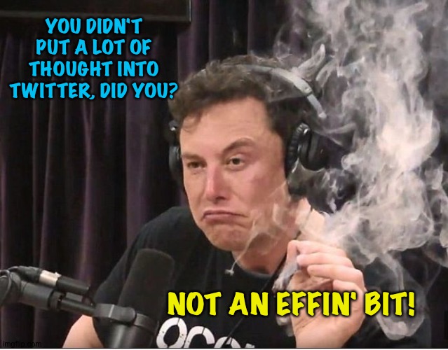 Elon Musk thinking | YOU DIDN'T PUT A LOT OF THOUGHT INTO TWITTER, DID YOU? NOT AN EFFIN' BIT! | image tagged in elon musk smoking a joint | made w/ Imgflip meme maker