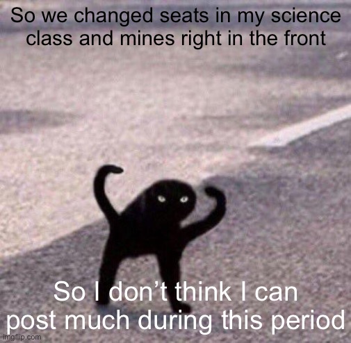 Cursed cat temp | So we changed seats in my science class and mines right in the front; So I don’t think I can post much during this period | image tagged in cursed cat temp | made w/ Imgflip meme maker