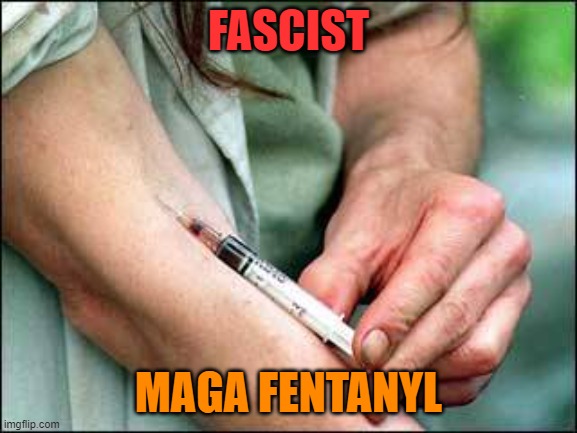 junkie | FASCIST MAGA FENTANYL | image tagged in junkie | made w/ Imgflip meme maker