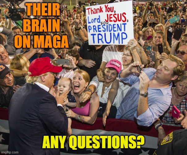 Trump Cult | THEIR BRAIN ON MAGA ANY QUESTIONS? | image tagged in trump cult | made w/ Imgflip meme maker