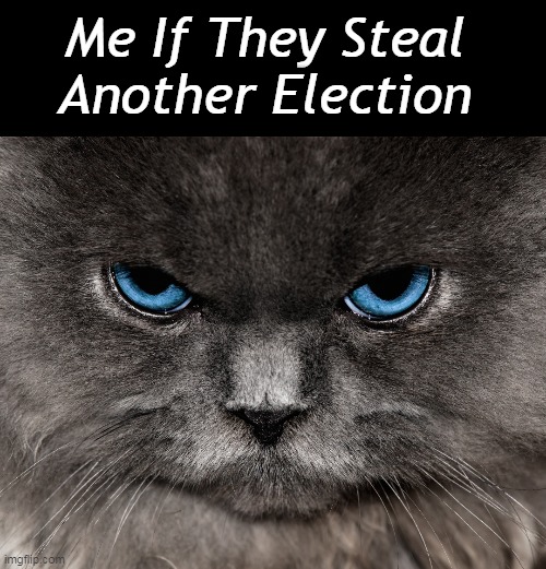 It is Truly an Election Against EVIL Democrats & Their Agenda to Destroy America . . . | Me If They Steal 
Another Election | image tagged in politics,democrats,evil,agenda,election,steal | made w/ Imgflip meme maker