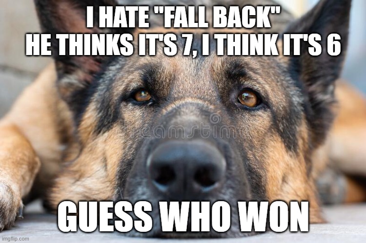 I hate Time Gnange | I HATE "FALL BACK"
HE THINKS IT'S 7, I THINK IT'S 6; GUESS WHO WON | image tagged in bad joke dogs | made w/ Imgflip meme maker