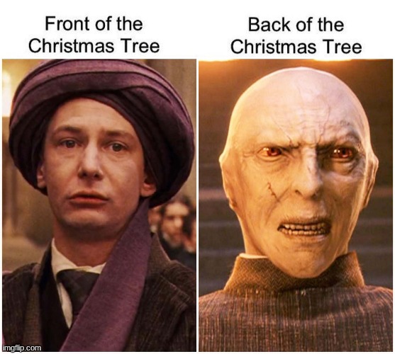 Yes | image tagged in harry potter | made w/ Imgflip meme maker