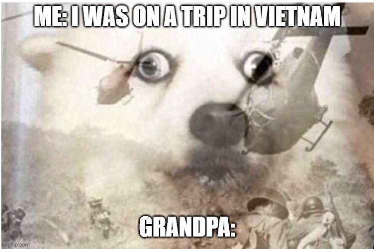 grandpa with the flashbacks | ME: I WAS ON A TRIP IN VIETNAM; GRANDPA: | image tagged in vietnam dog | made w/ Imgflip meme maker