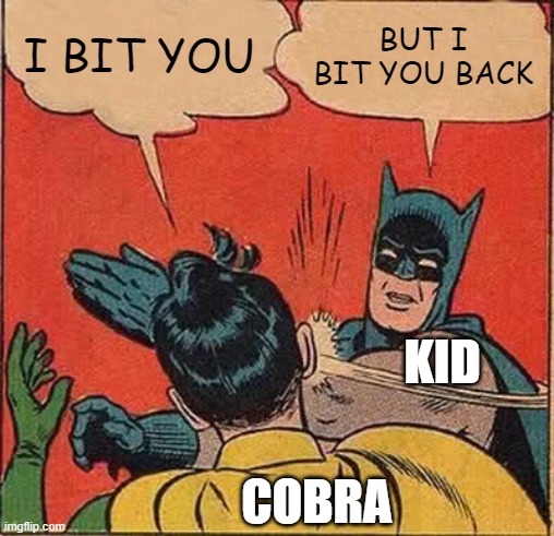 I BIT YOU BUT I BIT YOU BACK COBRA KID | image tagged in memes,batman slapping robin | made w/ Imgflip meme maker