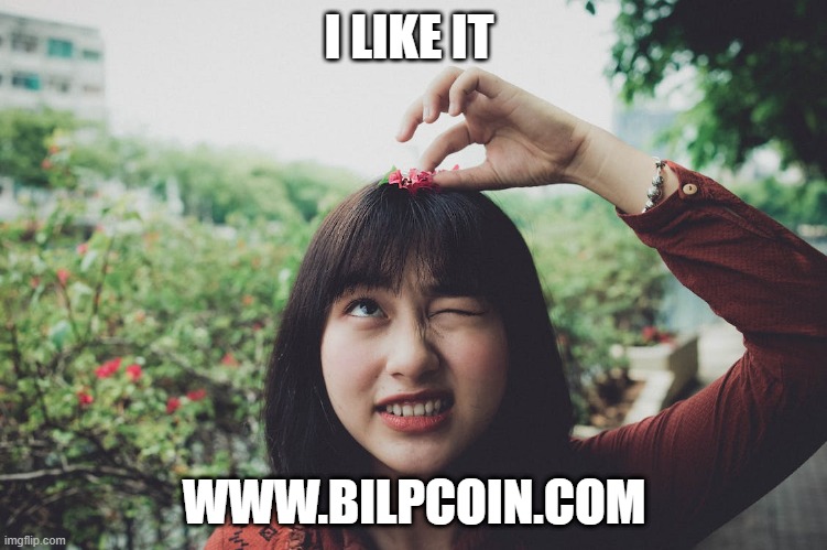 I LIKE IT; WWW.BILPCOIN.COM | made w/ Imgflip meme maker