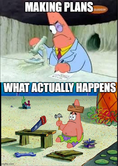 whelp that happened | MAKING PLANS; WHAT ACTUALLY HAPPENS | image tagged in patrick smart dumb | made w/ Imgflip meme maker