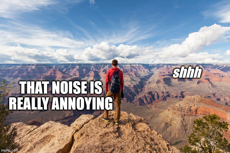 echo chamber | shhh THAT NOISE IS REALLY ANNOYING | image tagged in echo chamber | made w/ Imgflip meme maker