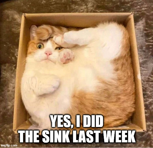 Cat Box Squished | YES, I DID THE SINK LAST WEEK | image tagged in cat box squished | made w/ Imgflip meme maker