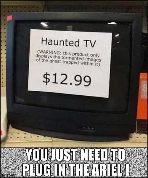 You Won't Need To Call 'Ghostbusters' ! |  YOU JUST NEED TO PLUG IN THE ARIEL ! | image tagged in fun,haunted,tv,ghostbusters,ariel | made w/ Imgflip meme maker