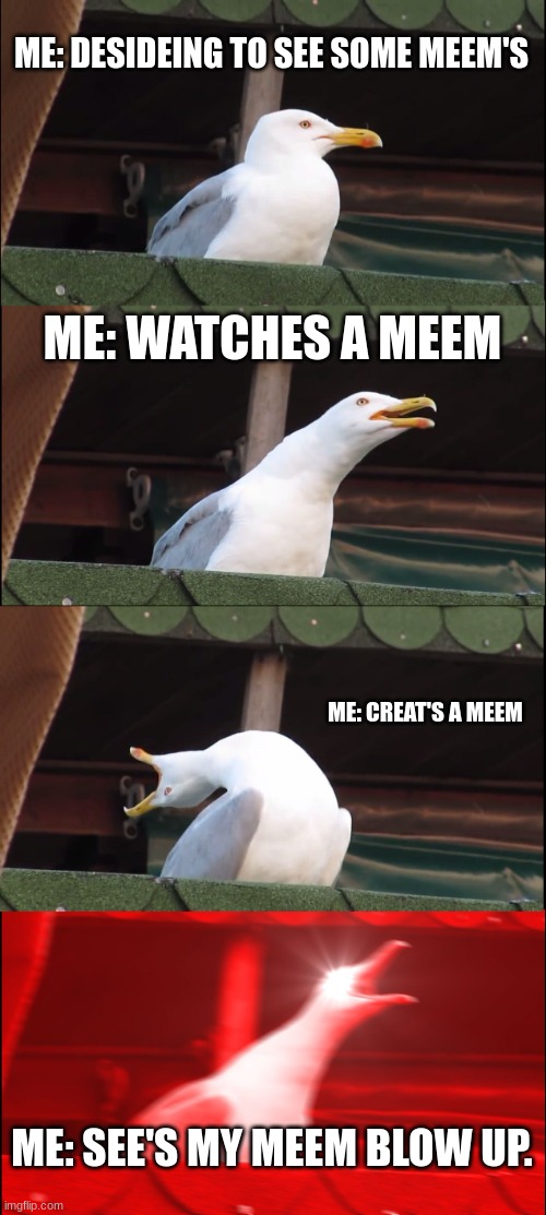 Inhaling Seagull | ME: DESIDEING TO SEE SOME MEEM'S; ME: WATCHES A MEEM; ME: CREAT'S A MEEM; ME: SEE'S MY MEEM BLOW UP. | image tagged in memes,inhaling seagull | made w/ Imgflip meme maker