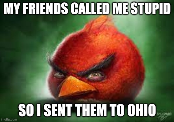 Realistic Red Angry Birds | MY FRIENDS CALLED ME STUPID; SO I SENT THEM TO OHIO | image tagged in realistic red angry birds | made w/ Imgflip meme maker