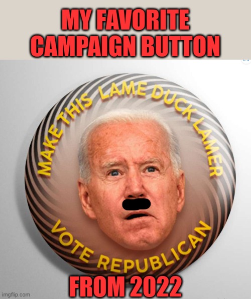 If you can't make fun of them, they're Democrats | MY FAVORITE CAMPAIGN BUTTON; FROM 2022 | image tagged in lame,campaign | made w/ Imgflip meme maker