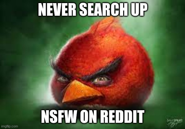 Realistic Red Angry Birds | NEVER SEARCH UP; NSFW ON REDDIT | image tagged in realistic red angry birds | made w/ Imgflip meme maker
