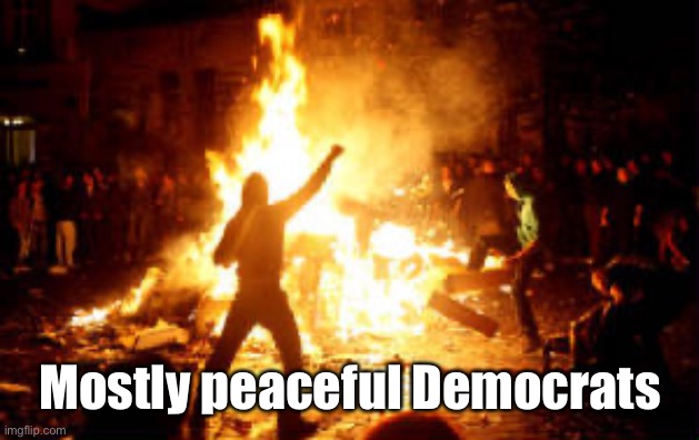 Anarchy Riot | Mostly peaceful Democrats | image tagged in anarchy riot | made w/ Imgflip meme maker