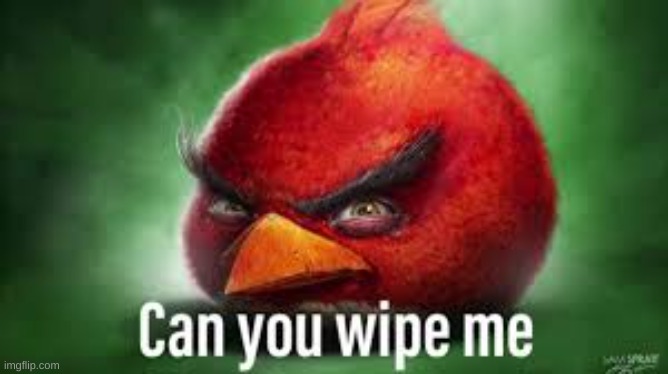 image tagged in realistic red angry birds | made w/ Imgflip meme maker
