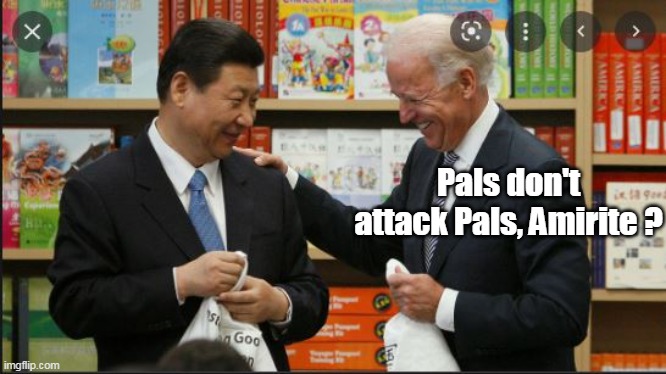 Pals don't attack Pals, Amirite ? | made w/ Imgflip meme maker