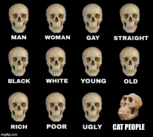 idiot skull | CAT PEOPLE | image tagged in idiot skull | made w/ Imgflip meme maker