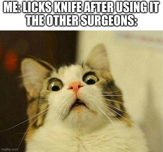 EW DUDE WTF | ME: LICKS KNIFE AFTER USING IT
THE OTHER SURGEONS: | image tagged in memes,scared cat | made w/ Imgflip meme maker