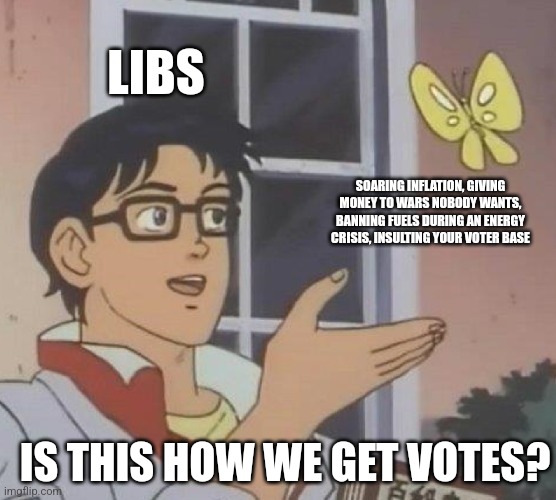 Is This A Pigeon | LIBS; SOARING INFLATION, GIVING MONEY TO WARS NOBODY WANTS, BANNING FUELS DURING AN ENERGY CRISIS, INSULTING YOUR VOTER BASE; IS THIS HOW WE GET VOTES? | image tagged in memes,is this a pigeon | made w/ Imgflip meme maker