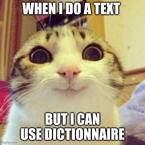 Smiling Cat | WHEN I DO A TEXT; BUT I CAN USE DICTIONNAIRE | image tagged in memes,smiling cat | made w/ Imgflip meme maker