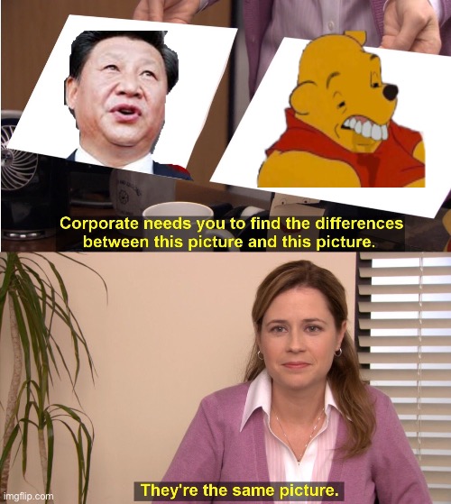 Chinese Winnie the pooh | image tagged in memes,they're the same picture | made w/ Imgflip meme maker