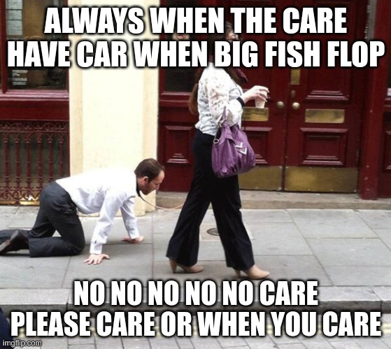 Walking a Person | ALWAYS WHEN THE CARE HAVE CAR WHEN BIG FISH FLOP; NO NO NO NO NO CARE PLEASE CARE OR WHEN YOU CARE | image tagged in walking a person | made w/ Imgflip meme maker