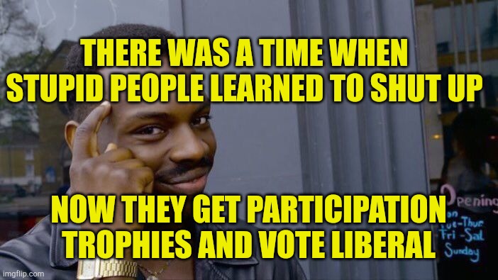 Roll Safe Think About It | THERE WAS A TIME WHEN STUPID PEOPLE LEARNED TO SHUT UP; NOW THEY GET PARTICIPATION TROPHIES AND VOTE LIBERAL | image tagged in memes,roll safe think about it,miniapples,sick and demented,disabled intellect,evilmandoevil | made w/ Imgflip meme maker
