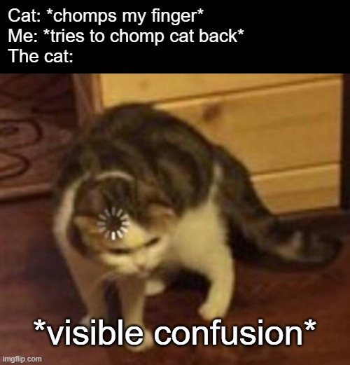 cat is confused | Cat: *chomps my finger*
Me: *tries to chomp cat back*
The cat:; *visible confusion* | image tagged in loading cat,visible confusion | made w/ Imgflip meme maker