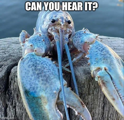 The Blue Lobster | CAN YOU HEAR IT? | image tagged in the blue lobster,listen | made w/ Imgflip meme maker