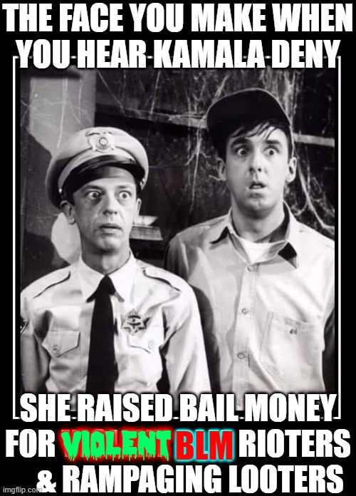 Fight the Good Fight by Standing Up to the Lies, Corruption & Evil |  THE FACE YOU MAKE WHEN
YOU HEAR KAMALA DENY; SHE RAISED BAIL MONEY
FOR VIOLENT BLM RIOTERS
    & RAMPAGING LOOTERS; BLM; VIOLENT | image tagged in vince vance,rioters,antifa,kamala harris,memes,blm | made w/ Imgflip meme maker