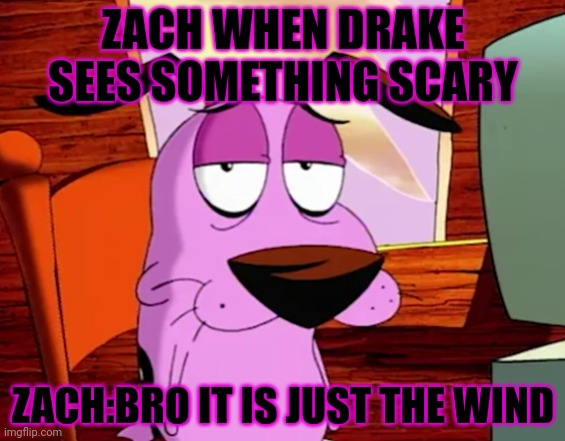 Bruh | ZACH WHEN DRAKE SEES SOMETHING SCARY; ZACH:BRO IT IS JUST THE WIND | image tagged in unamused courage | made w/ Imgflip meme maker