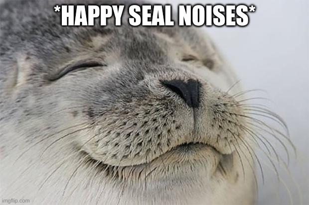 Satisfied Seal Meme | *HAPPY SEAL NOISES* | image tagged in memes,satisfied seal | made w/ Imgflip meme maker