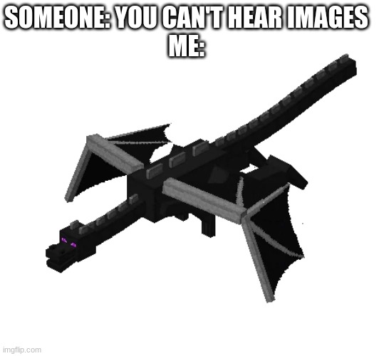 SOMEONE: YOU CAN'T HEAR IMAGES
ME: | image tagged in minecraft,meme,minecraft memes | made w/ Imgflip meme maker