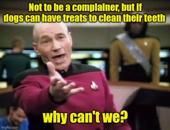 I want a Scooby snack. | Not to be a complainer, but if dogs can have treats to clean their teeth; why can't we? | image tagged in jean luc picard,funny | made w/ Imgflip meme maker