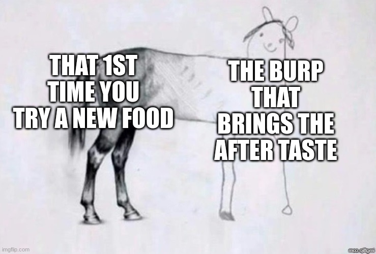 I hate t when this happens... | THAT 1ST TIME YOU TRY A NEW FOOD; THE BURP THAT BRINGS THE AFTER TASTE | image tagged in horse drawing,why must you hurt me in this way | made w/ Imgflip meme maker